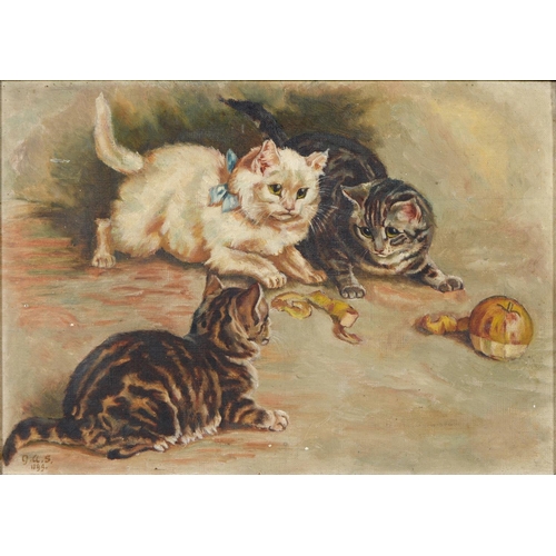 474 - English School, 1899 - Three Playful Kittens, signed with initials GAS and dated, oil on canvas, 24 ... 