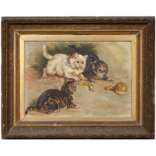 474 - English School, 1899 - Three Playful Kittens, signed with initials GAS and dated, oil on canvas, 24 ... 