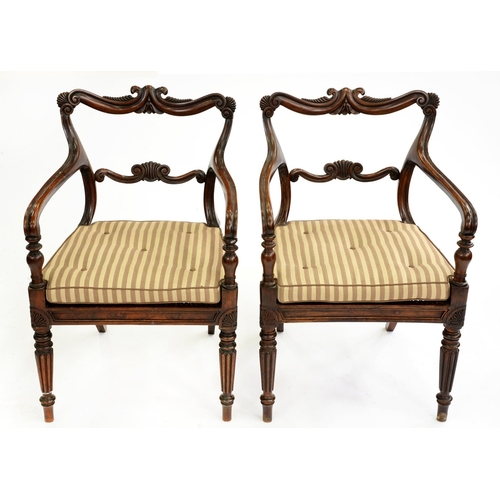 546 - A pair of William IV grained rosewood elbow chairs, with scrolling crest and back rails, on reeded t... 
