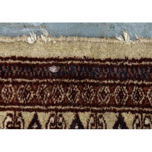 579 - Three rugs, 147 x 76cm and smaller