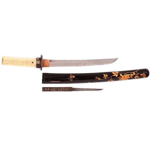 1003 - A Tanto in Koshirae

Sugata:  Shinogi-Zukuri Iori-mune with shallow tori-zori
Nagasa:. 22.5cm
Motoha... 