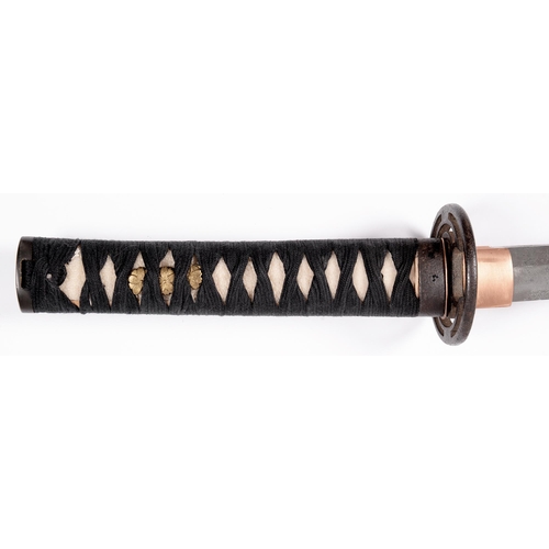 1009 - A wakizashi in assembled koshirae

Sugata:  Shinogi-Zukuri Iori-mune with shallow tori-zori 
Nagasa:... 