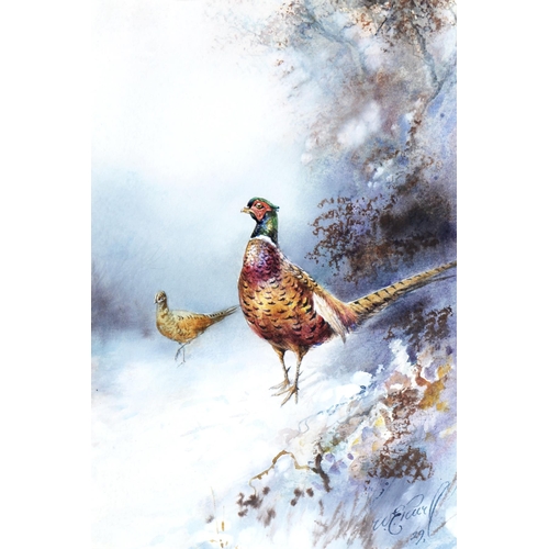 1064 - William Seabourne Powell (1878-1949) - Pheasants; Mallards, a pair, one signed and dated '29, waterc... 