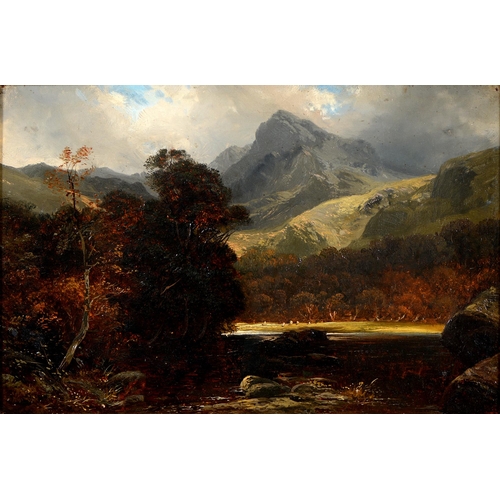 1081 - English School, 19th c - Picturesque Mountainscapes, two, oil on canvas, 30.5 x 46cm, uniform gilt a... 