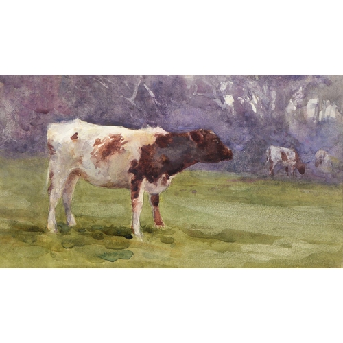 1117 - Mildred Anne Butler RA, RWS (1858-1941) - A Cow, watercolour, 10.5 x 17.5cm