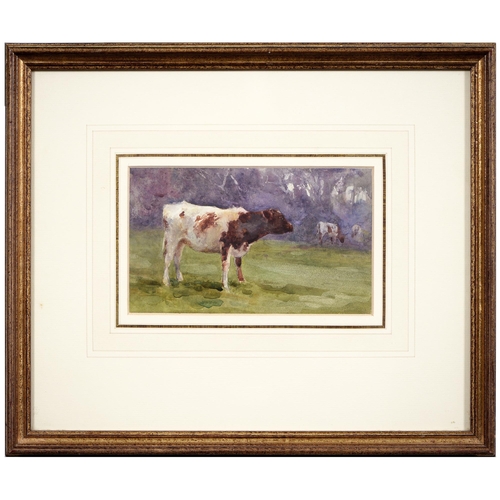 1117 - Mildred Anne Butler RA, RWS (1858-1941) - A Cow, watercolour, 10.5 x 17.5cm