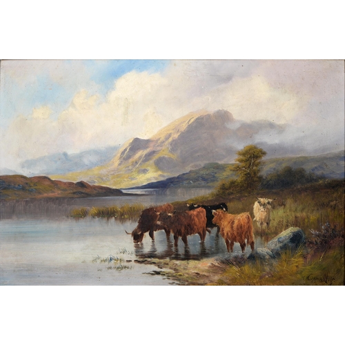 1147 - C W Oswald (late 19th / early 20th c) - Highland Cattle, signed, oil on canvas, 49.5 x 75cm... 