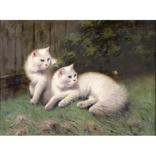 1148 - Beno Boleradszky (1885-1957) - Two Cats, signed, oil on canvas, 58.5 x 78cm