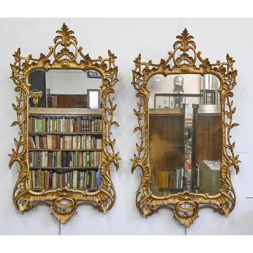 1160 - A pair of Florentine gilt composition mirrors, 118 x 63cm