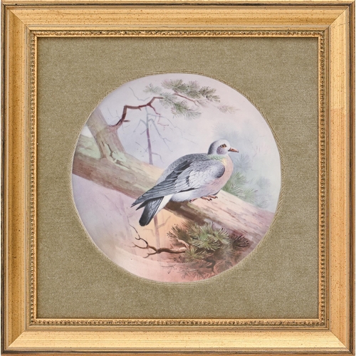 490 - A pair of Minton bone china plates, 1910 and circa, painted by J E Dean, both signed, with birds, 21... 