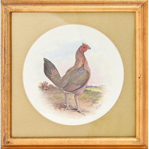 491 - A pair of Minton bone china plates, c1900, painted by J E Dean, both signed, with a gamecock, 22cm d... 