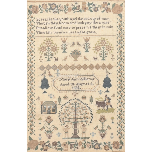 961 - An early Victorian linen sampler, Mary Ann Williams aged 14 August 3 1838, worked with Adam and Eve,... 