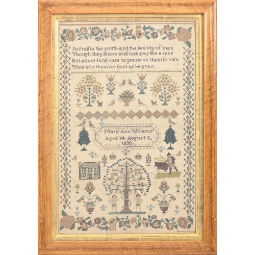 961 - An early Victorian linen sampler, Mary Ann Williams aged 14 August 3 1838, worked with Adam and Eve,... 