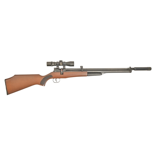 977 - An air rifle