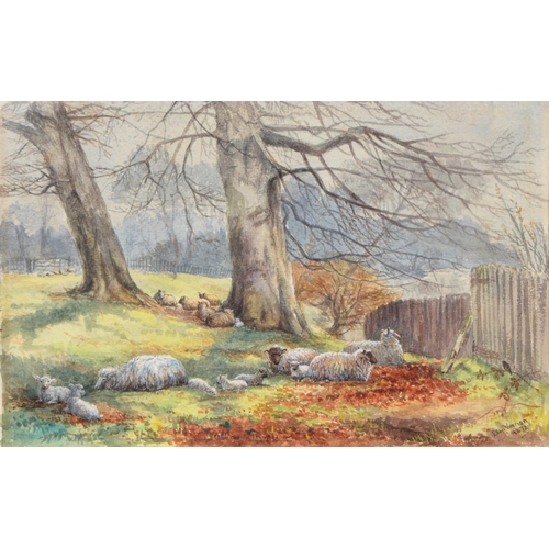 1106 - Ellen Vernon, 1872  -  Sheep and Lambs beneath a Tree, signed and dated, watercolour, 15 x 24.5cm an... 