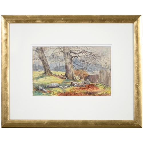 1106 - Ellen Vernon, 1872  -  Sheep and Lambs beneath a Tree, signed and dated, watercolour, 15 x 24.5cm an... 