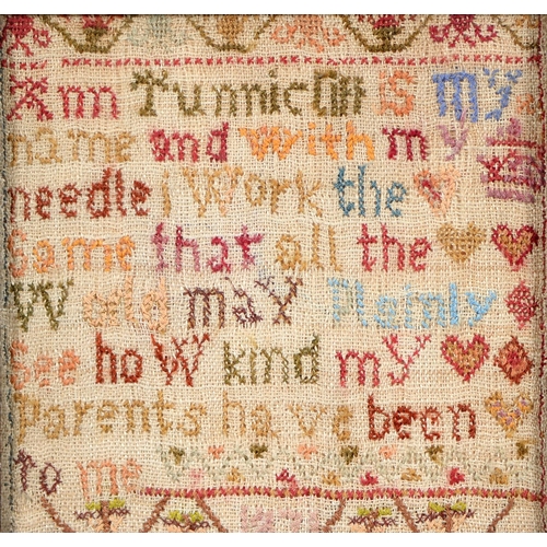 1080 - A William IV linen sampler, E.A., 1831, worked in colour threads with birds, flowers and meandering ... 