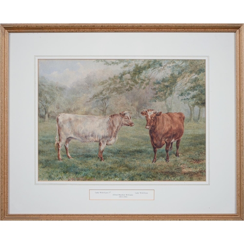 1159 - Alfred Mayhew Williams (1823-1903) - Portrait of two Prize Cows, inscribed Lady Wild Eyes, Lady Wild... 