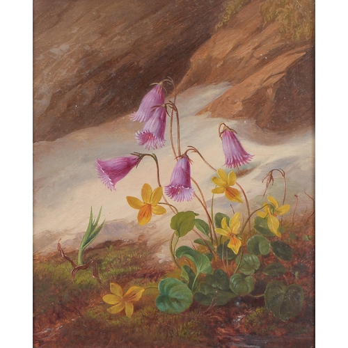 1174 - Victorian School - Flowers on a Woodland Bank, a pair, oil on panel, 15 x 12cm... 