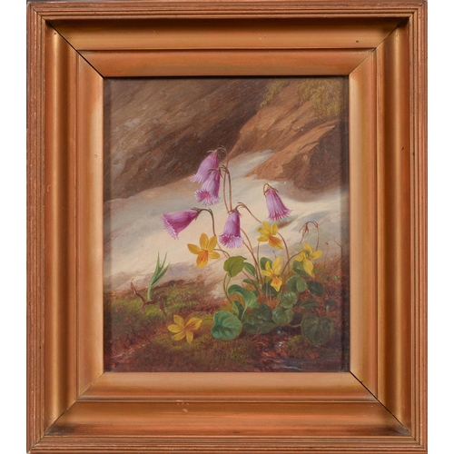 1174 - Victorian School - Flowers on a Woodland Bank, a pair, oil on panel, 15 x 12cm... 