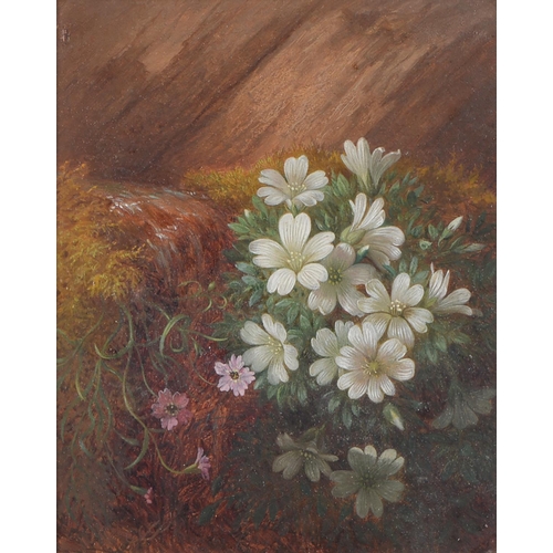 1174 - Victorian School - Flowers on a Woodland Bank, a pair, oil on panel, 15 x 12cm... 