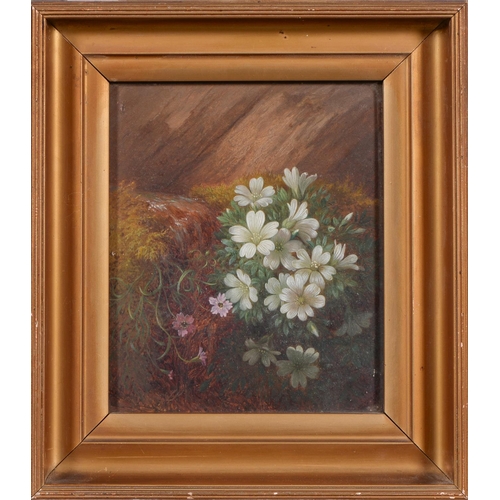 1174 - Victorian School - Flowers on a Woodland Bank, a pair, oil on panel, 15 x 12cm... 