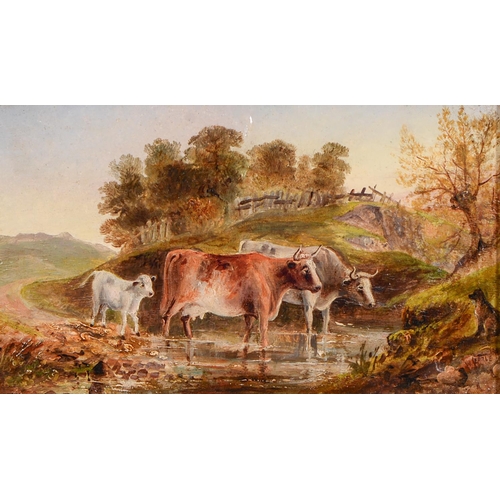 1181 - W Earle, 19th c - Livestock and a Dog at a Stream, signed, oil on canvas laid on panel, 14 x 23.5cm... 