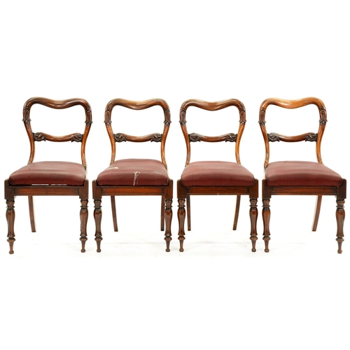 1335 - A set of four Victorian rosewood dining chairs, with lotus carved kidney shaped back, on faceted for... 