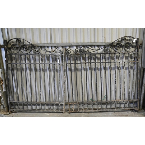 1388 - A pair of Victorian wrought iron garden gates, c1900,  170cm h, 279cm l (overall); 124 and 155cm l... 