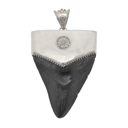 400 - A silver mounted megalodon tooth, 13cm overall