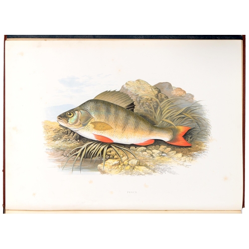 110 - Houghton (The Rev. W.) & Lydon (A.F., illustrator), British Fresh-Water Fishes, two-volume set, ... 