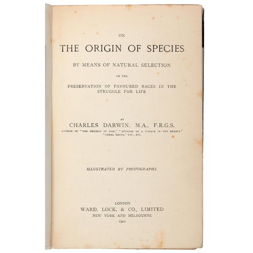 174 - Natural History. Darwin (Charles), On the Origin of Species [...], Illustrated by Photographs, Londo... 