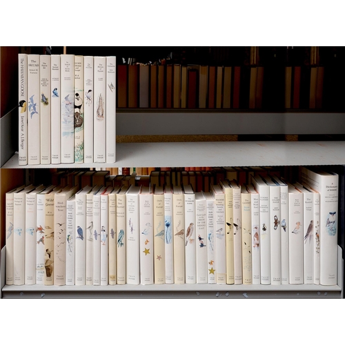 251 - Natural History, Ornithology. Poyser monographs on European and World birds, mixed editions and date... 