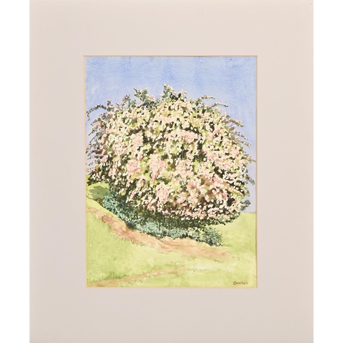 675 - Derek Carruthers (1935-2021) - My Tree and other subjects, titled or untitled, approximately 145, mo... 