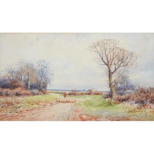 1091 - Alexander Molyneux Stannard (1878-1975) - Driving Sheep, signed, watercolour, 29 x 50cm... 