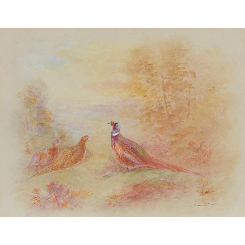 1009 - James Stinton (1870-1961) - Pheasants, a pair, both signed, watercolour on coloured paper, 22 x 18.5... 