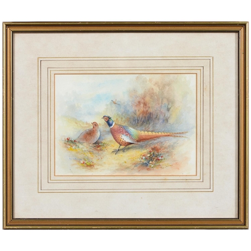 1026 - English School - Pheasants, a pair, both bear signature, 12.5 x 17.5cm and a smaller watercolour of ... 