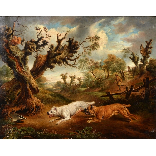 1063 - Richard Earlom (1743-1822) after Charles Towne - Bulldogs and Badger, contemporary oil over Ear... 