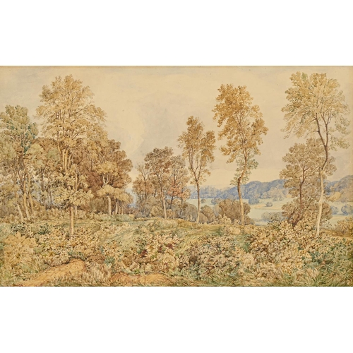 1113 - John Joseph Cotman (1814-1878) - A Wooded Landscape, signed and dated 1876, watercolour, 42 x 67cm, ... 