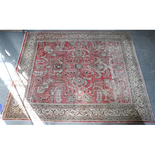 1146 - A rug, 300 x 380cm