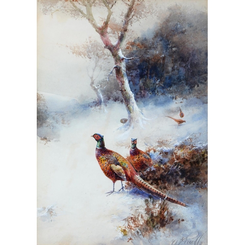 1118 - William Seabourne Powell (1878-1949) - Pheasants in the Snow, signed and dated '21, watercolour, 23.... 