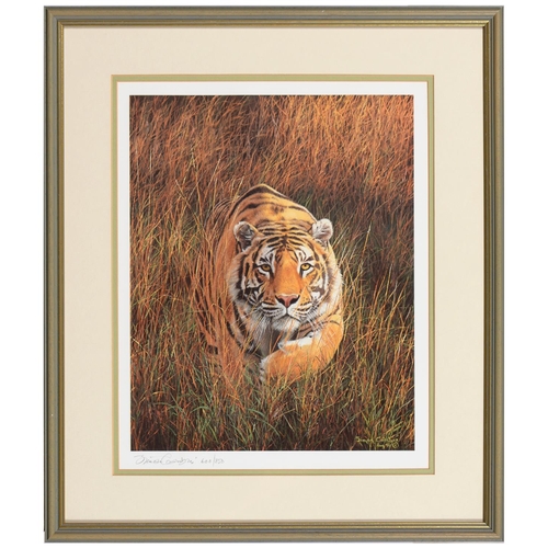 1120 - David Shepherd OBE, FRSA (1931-2017) - Cool Tiger, reproduction printed in colour, signed by the art... 