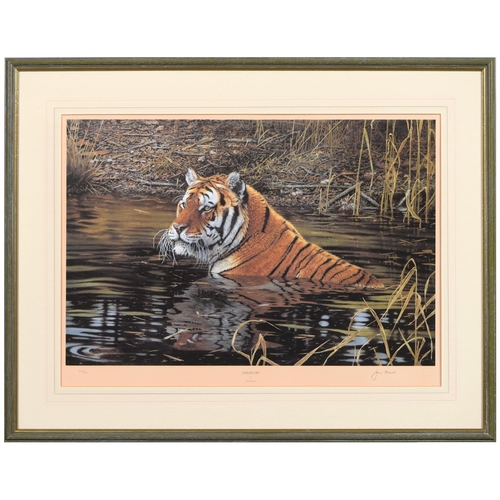 1120 - David Shepherd OBE, FRSA (1931-2017) - Cool Tiger, reproduction printed in colour, signed by the art... 