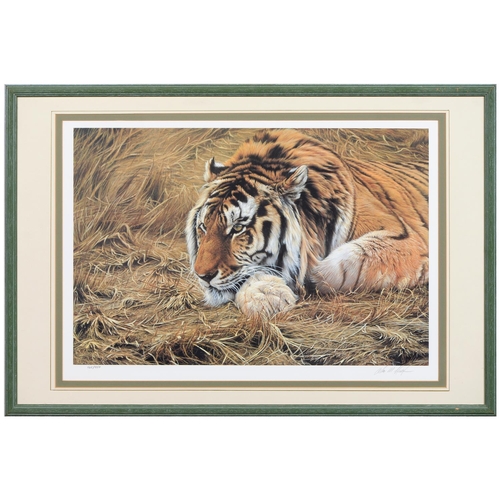 1120 - David Shepherd OBE, FRSA (1931-2017) - Cool Tiger, reproduction printed in colour, signed by the art... 