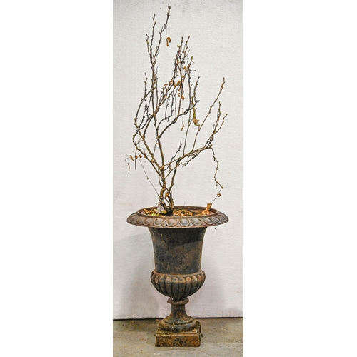 1071 - A cast iron campana vase, 62cm h; 48cm diam