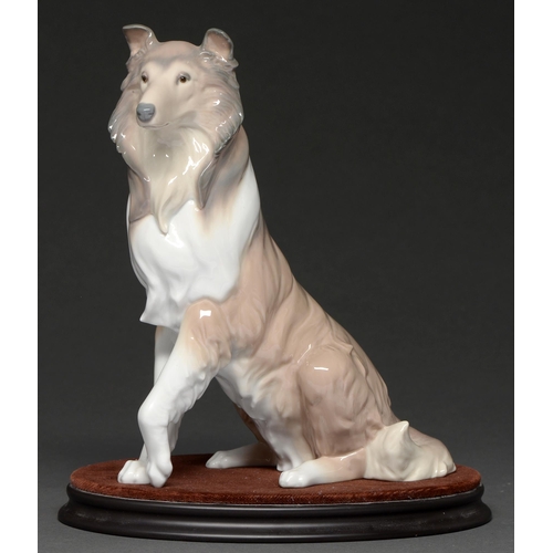 541 - A Lladró model of a collie dog, 25.5cm h, blue printed marks and impressed numbers 6455/A-5J, wooden... 