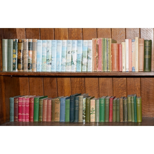 803 - Books. Two shelves of natural history, early 20th c and later, including four New Naturalist first e... 