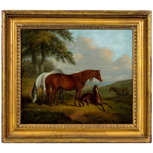 836 - Attributed to Sydenham Edwards (1768-1819) - Mares and a Foal in a Landscape, with signature and dat... 