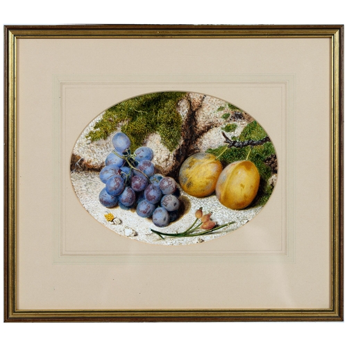 842 - John Sherrin RI (1819-1896) - Still Life with Fruit before a Mossy Bank, signed, watercolour and bod... 