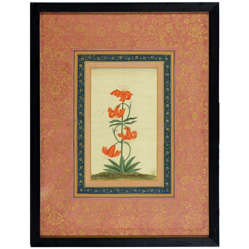 859 - Indian School - Botanical Subjects, a pair, ink and watercolour in blue and pink and gold border, 36... 